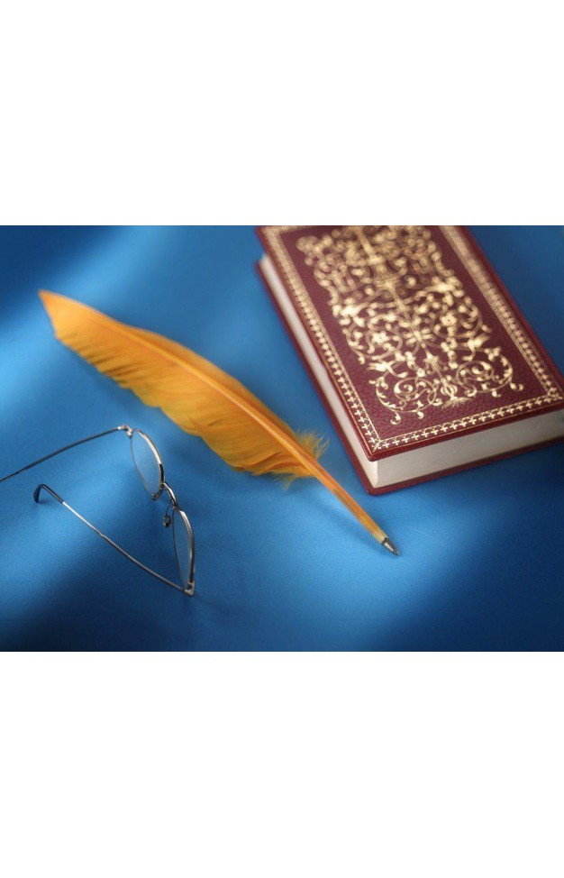 Thinking Gifts Feather Pens (Random Colours)